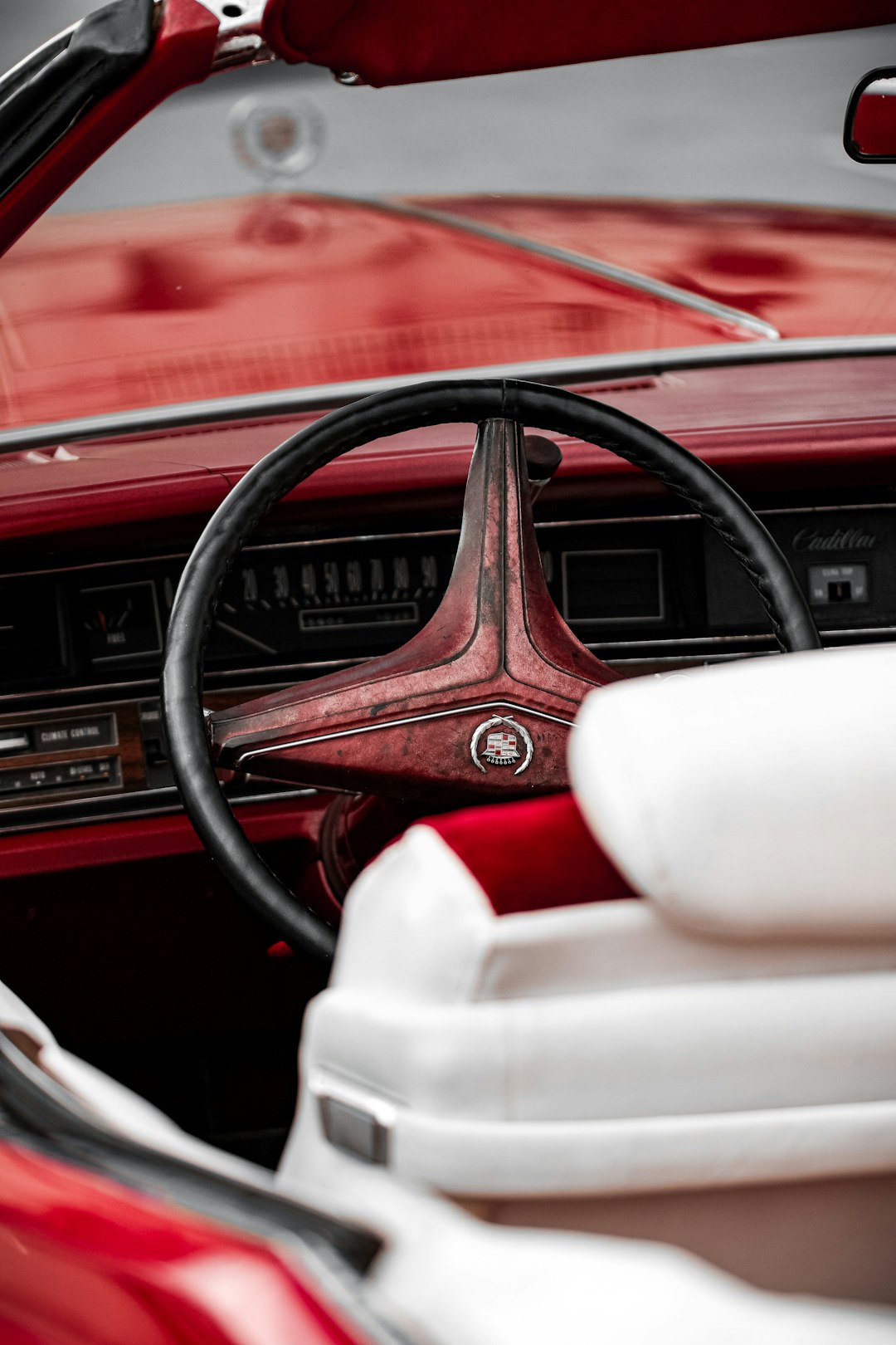 Basic Interior Cleaning